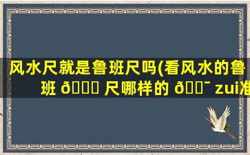 风水尺就是鲁班尺吗(看风水的鲁班 🍀 尺哪样的 🐯 zui
准确)